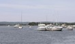 Cruisers, sun and summer. 