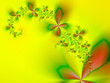 Beautiful flowers