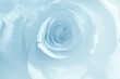 Quadro Soft blue rose