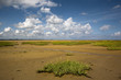 Baie des Veys 07