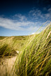 plage 08