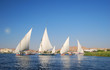 Photo: Falukas on the Nile river in Egypt Falukas on the Nile river in Egypt
