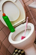 Dirty toilet