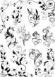 floral design elements