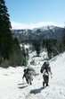 The climb