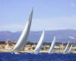 Regattafeld vor Antibes Regattafeld vor Antibes