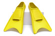 Yellow flippers white background
