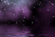 estrellas en el mar
