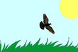 flying pigeon