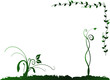 Floral background