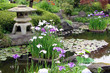 Images : Japanese garden