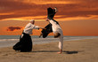 aikido au couché de soleil aikido au couché de soleil