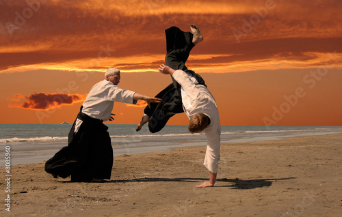 aikido au couché de soleil
