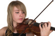 Violin
