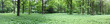 Botanical Garden