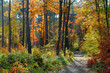 Photo: Colors of Fall Colors of Fall