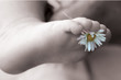 Babyfuss II