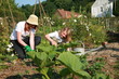 famille potager