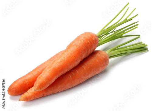 Photo : Carrot vegetable Carrot vegetable