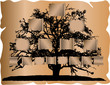 Genealogical tree
