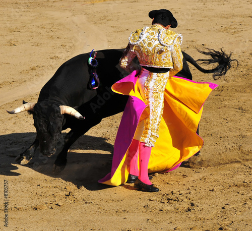 Matador & Bull