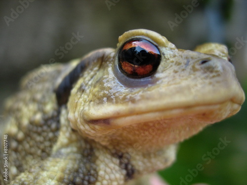 400_F_8107748_gX9ww7DPNY6UoV7AQiIoe41BbRRDYQT4.jpg