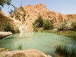 Oasis on the desert 3