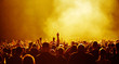 1001 gelbe Konzertfans 1001 gelbe Konzertfans