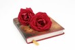 red book red book