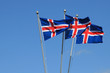 Icelandic flags