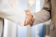 Two businessmen shaking hands