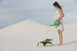A woman watering a plant in the sand