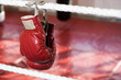Close up of boxing gloves on the ropes of a boxing ring.