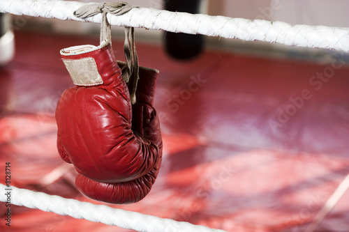 Close up of boxing gloves on the ropes of a boxing ring.