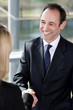 Businessman shaking hands with female client or colleague