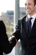 Businessman shaking hands with female client or colleague