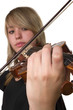 Violin