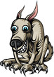 dog dog