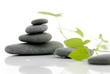 Zen serie - pebble on a white background with green plant