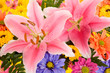 Lilies and Daisies