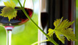 Photo: Glass and bottle of red wine with green leaf. Glass and bottle of red wine with green leaf.
