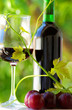 Glass and bottle of red wine with green leaf.