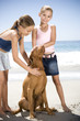 Two young girls and a dog on the beach