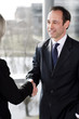 Businessman shaking hands with female client or colleague
