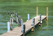 ponton