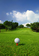 Golf course