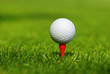 Let's play golf!