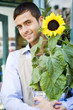 Male florist standing outside his shop, holding a potted sunflower