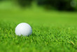 Fairway