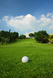 Golf course